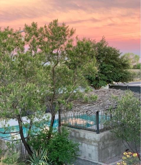 Thunderbird Hotel Marfa Dış mekan fotoğraf
